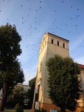 Kirchturm-768x1024